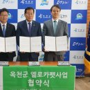 옐로카펫 이미지