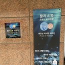 세연윤곽체형연구소 이미지