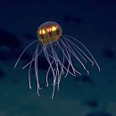 (주)오션게이트코리아 이미지