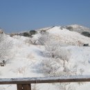 좋은아침 이미지