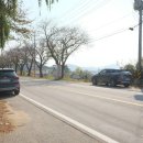 고양이 카페 여기 이미지