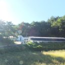 고노골농장 이미지