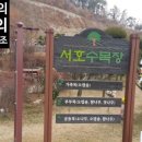 강남상조