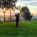 G존골프 이미지