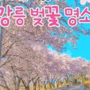 경포주유소 이미지