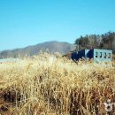 남노일로 이미지