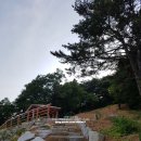 봉황산나래숲 이미지