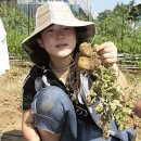 김상경 농장 이미지