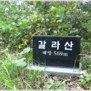 갈라산 티스토리