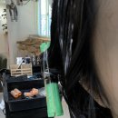 에이치보청기 | 은평구 미용실 플랜에이치헤어 연신내점 레이어드펌 성공 후기