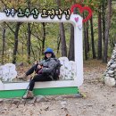 노추산모정탑 이미지