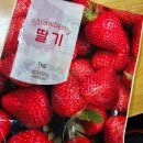 홍루이젠대전봉명점 | #172. 월간일기._.8월의 첫번째 갈피 🌙
