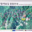 원주굽이길 원2코스 구학산둘레숲길 이미지