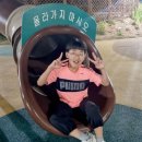 비송태권도 네이버블로그