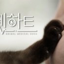 하트동물병원 이미지