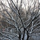 강서구민회관 이미지