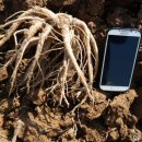 신토불이슈퍼 이미지