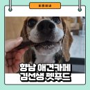 향남 애견 카페 용품점-김선생펫푸드 수제간식 후기
