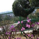 당곡고등학교 이미지