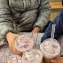 도마리10소교량 | 경기 광주 ㅣ 율봄식물원 (ft. 딸기수확체험) 아이와 함께하는 주말 힐링 나들이
