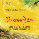 영원한 사랑을 찾아서 노란꽃이 화려하게핀 산수유꽃 봄꽃 여행 전남 구례 산수유꽃축제 이미지