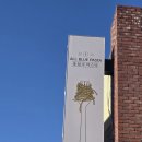 후평동 24-8 | 아이랑 가기 좋은 춘천파스타맛집, 올블루 파스타 후기｜후평동 춘천맛집 추천