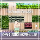 태국 치앙마이 애견동반 여행 서류 준비 총정리