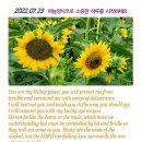 정읍사공원 이미지