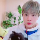 석진이네