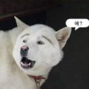 매일크리스마스 이미지