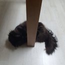 반려동물의료센터다울 네이버블로그