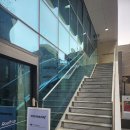 크레팍스 스토어 | [강남역] 크레스티드 게코 - 크레팍스 팝업 스토어 방문 후기