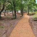 코코정비 이미지