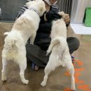 솜사탕 - 중랑구 사가정로52길 20 | 솜사탕