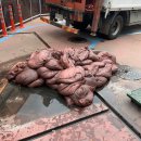 터미널세차장 이미지