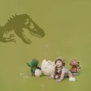 공룡(마트) 이미지