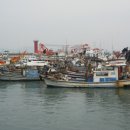 충남 보령 대천항 이미지