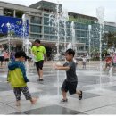 오아시스 이미지