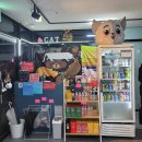 호수로 간 고양이 | [시흥/은행동] 은계지구 고양이 카페 *호수로 간 고양이*