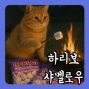지에스25 남산단암점 네이버블로그