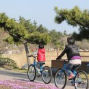 경포의휴일 이미지