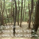 일기일회 이미지