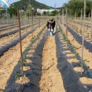 성운농장 이미지