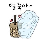 에버스노우 이미지