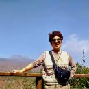 산록남로 이미지