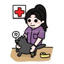 헤이븐동물병원 이수점 | 동물보건사 시험 자격증 응시자격 특례대상자 공부법 책 합격 후기