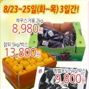 드림야채청과 이미지