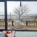 바다를 봄시롱 이미지