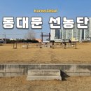 동대문 가볼만한 곳 선농단