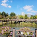 부산시민공원 이미지